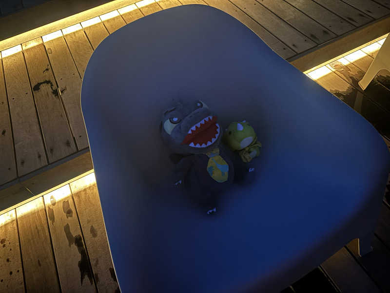 富士山さんの御成桑拿のサ活写真