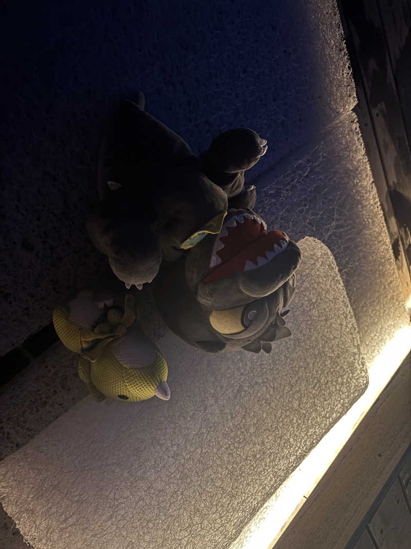 富士山さんの御成桑拿のサ活写真