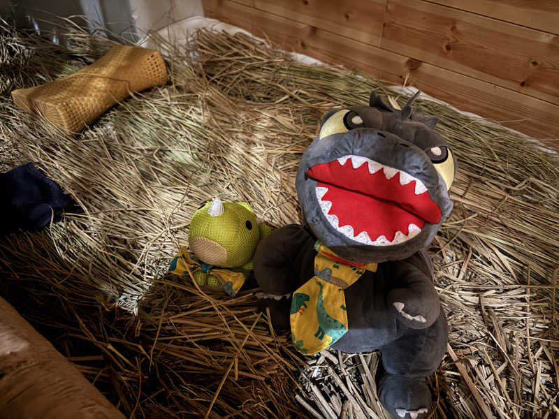 富士山さんのSaunaLab Kanda (サウナラボ神田)のサ活写真