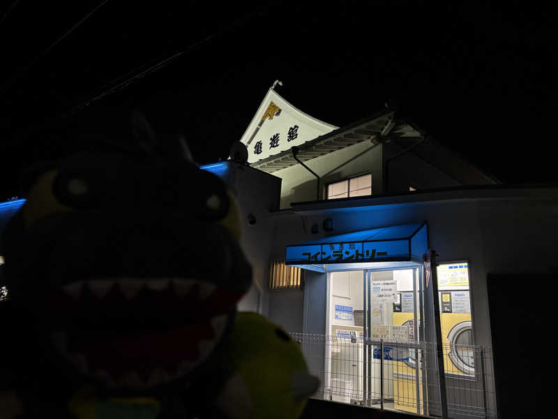 富士山さんの亀遊舘のサ活写真