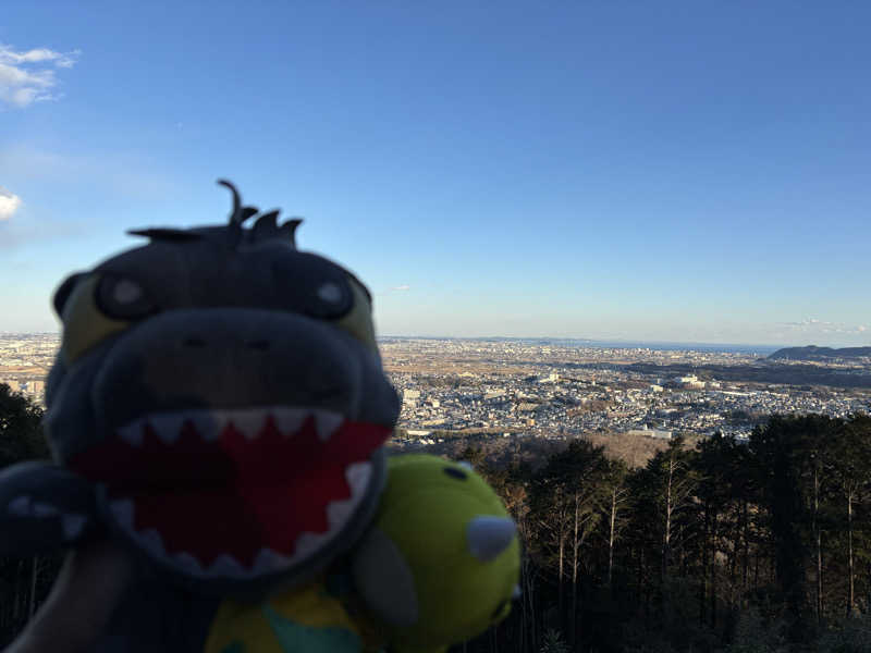 富士山さんの名水はだの富士見の湯のサ活写真