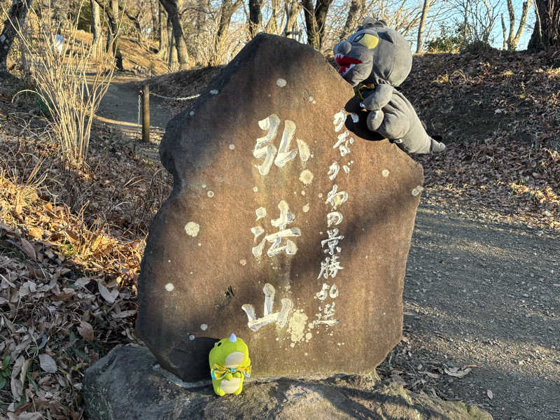 富士山さんの名水はだの富士見の湯のサ活写真