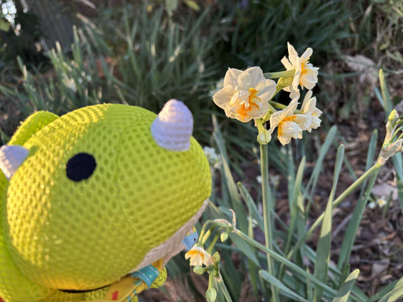 富士山さんの名水はだの富士見の湯のサ活写真