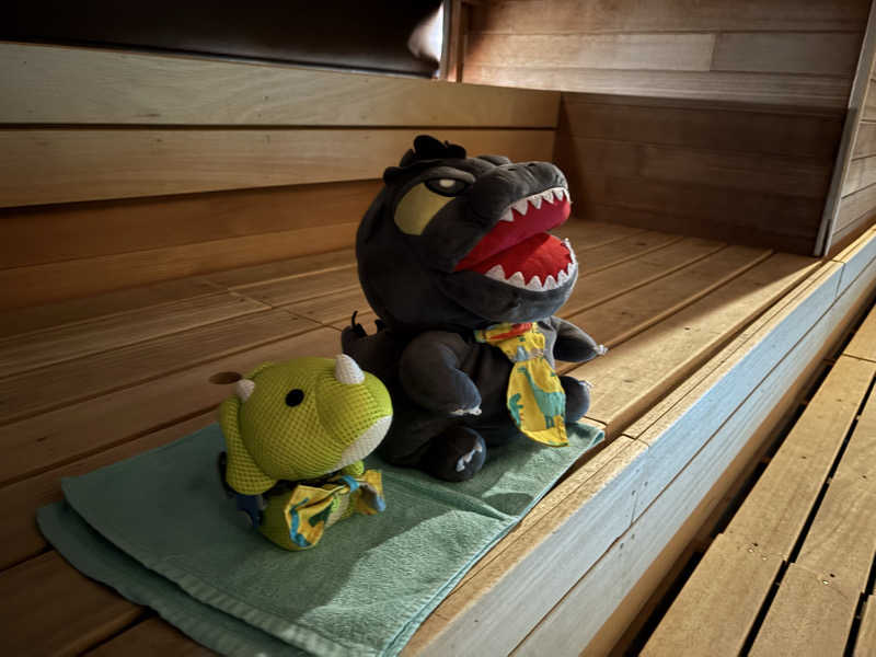 富士山さんのスカイスパYOKOHAMAのサ活写真