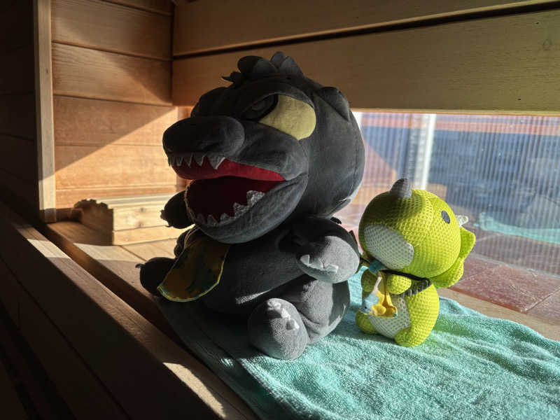 富士山さんのスカイスパYOKOHAMAのサ活写真