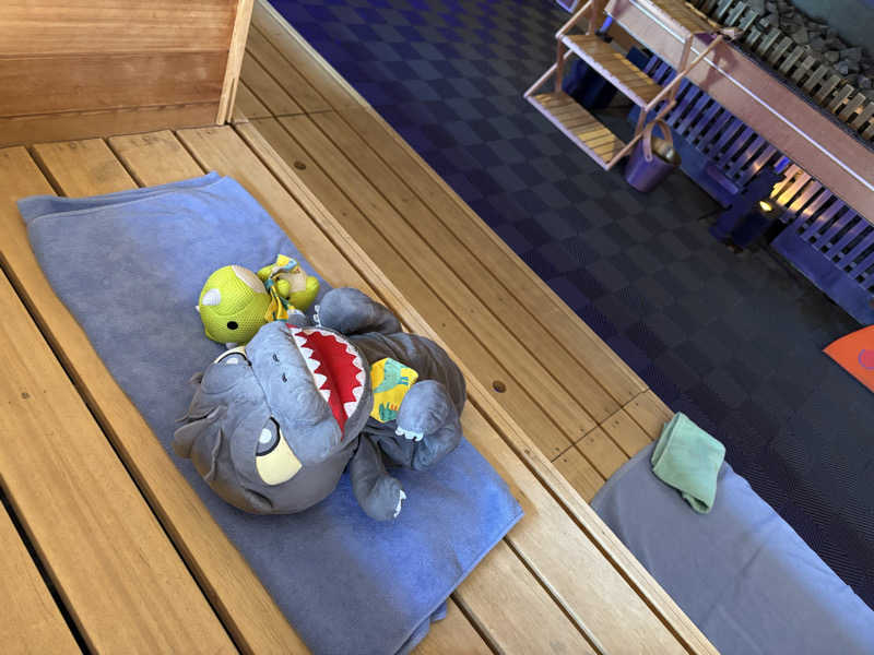 富士山さんのスカイスパYOKOHAMAのサ活写真