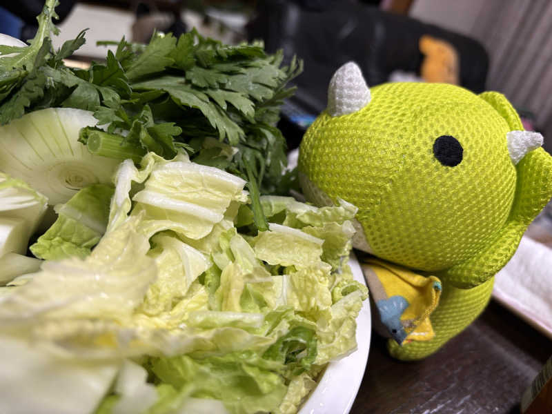 富士山さんの越谷健美の湯のサ活写真