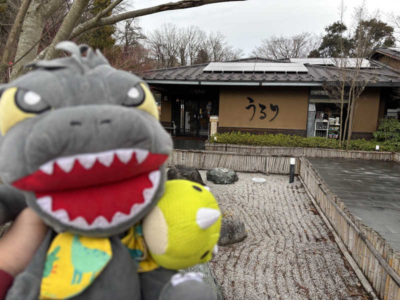 富士山さんのさがみ湖温泉 うるりのサ活写真