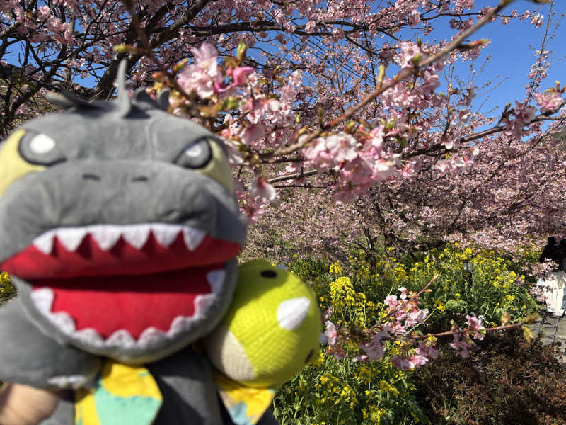 富士山さんの踊り子温泉会館のサ活写真