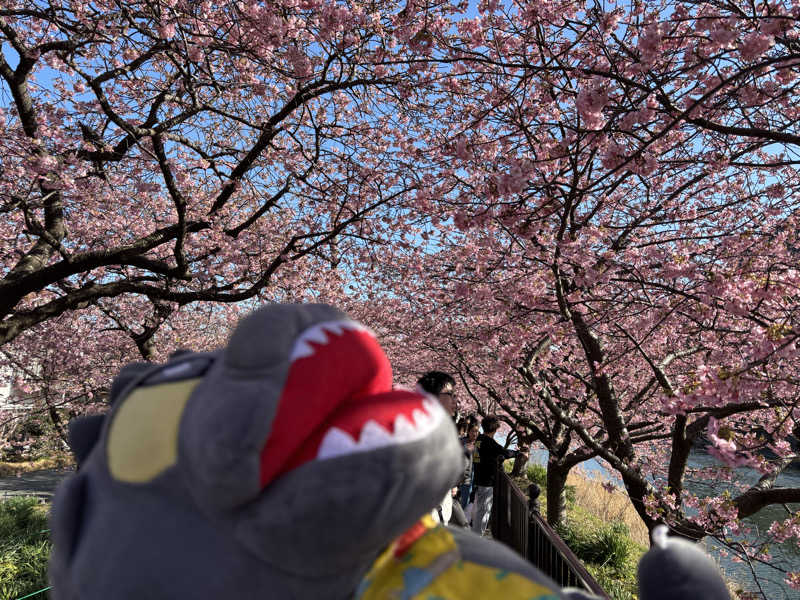 富士山さんの踊り子温泉会館のサ活写真