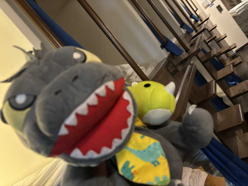 富士山さんの上野ステーションホステル オリエンタル2のサ活写真