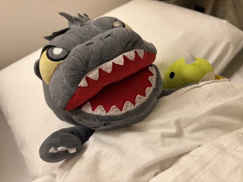 富士山さんの上野ステーションホステル オリエンタル2のサ活写真