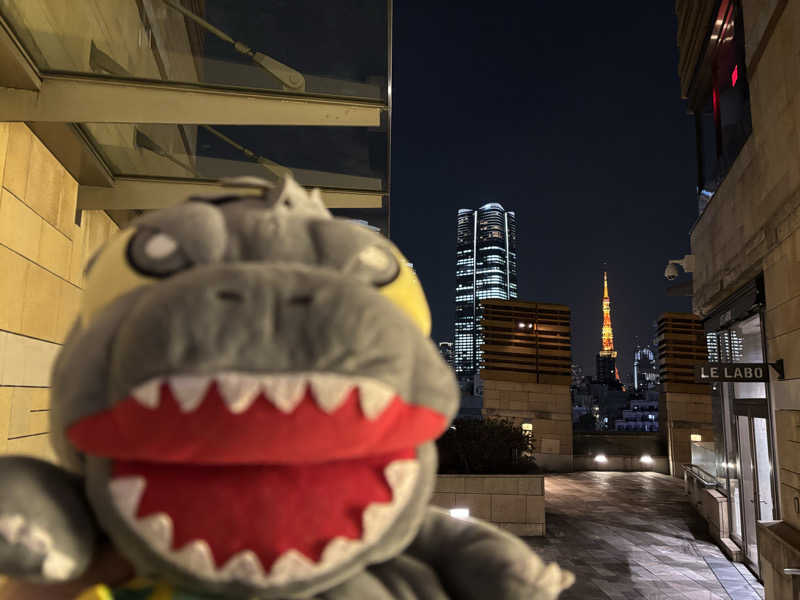 富士山さんのサウナリゾートオリエンタル赤坂のサ活写真