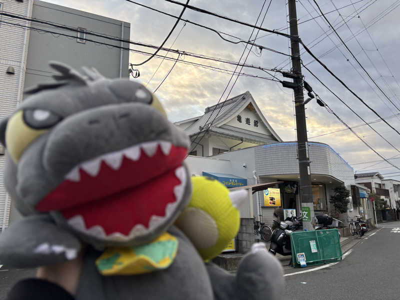 富士山さんの亀遊舘のサ活写真