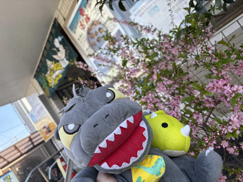 富士山さんの亀遊舘のサ活写真