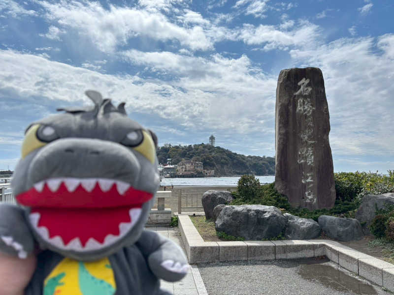 富士山さんの亀遊舘のサ活写真