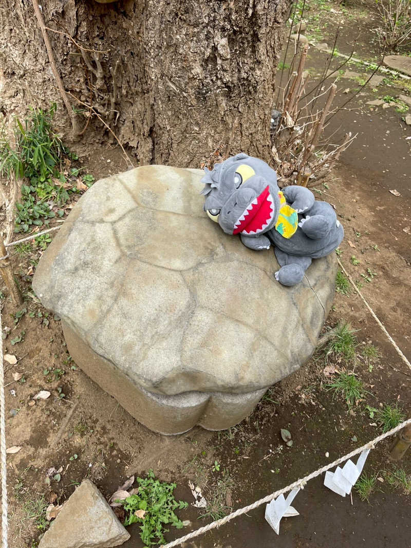 富士山さんの亀遊舘のサ活写真
