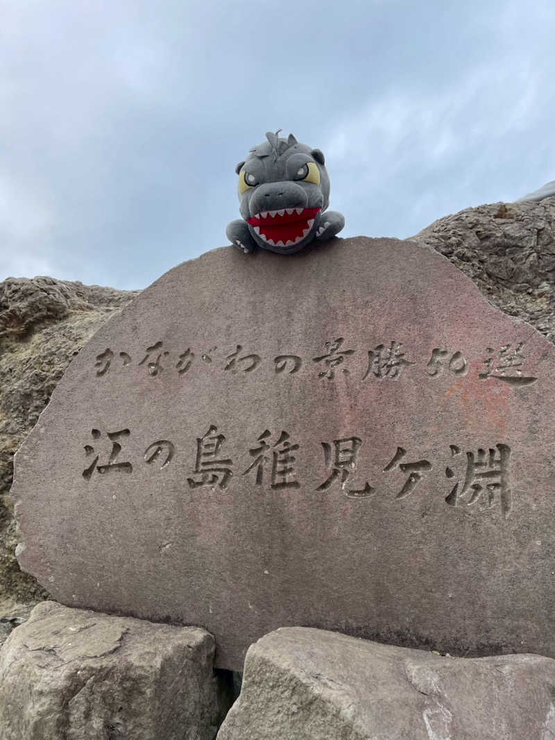 富士山さんの亀遊舘のサ活写真