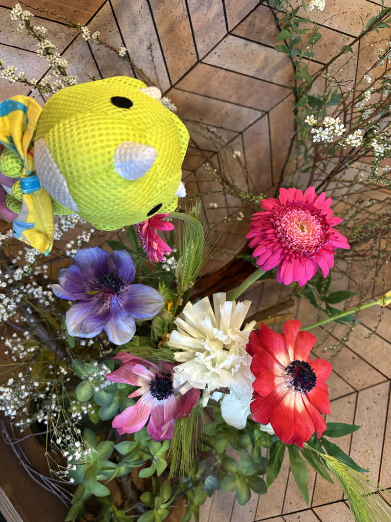 富士山さんの朝日湯源泉ゆいるのサ活写真