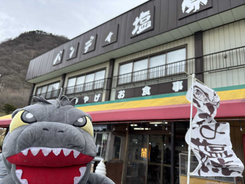富士山さんの富士見温泉見晴らしの湯ふれあい館のサ活写真