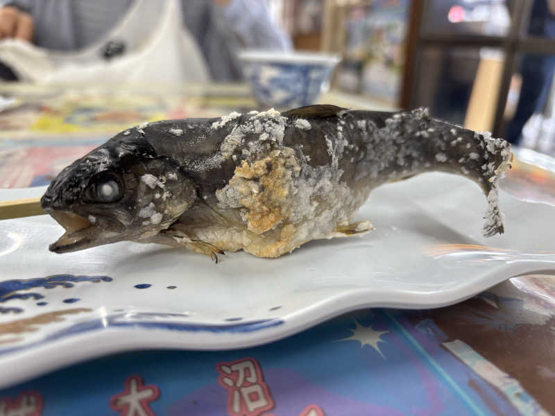 富士山さんの富士見温泉見晴らしの湯ふれあい館のサ活写真
