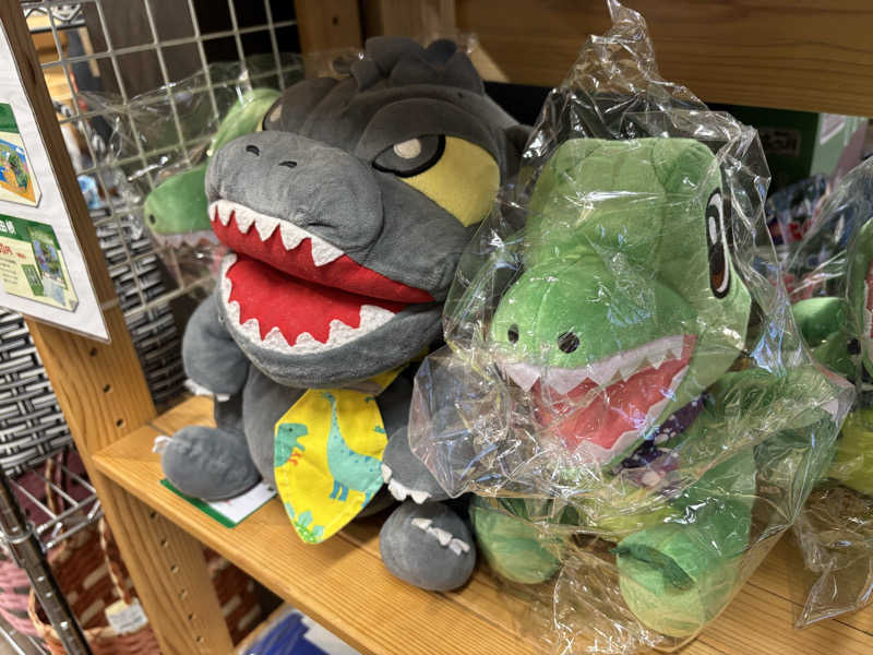 富士山さんのかんなの湯のサ活写真
