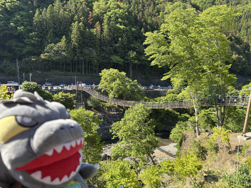 富士山さんのかんなの湯のサ活写真