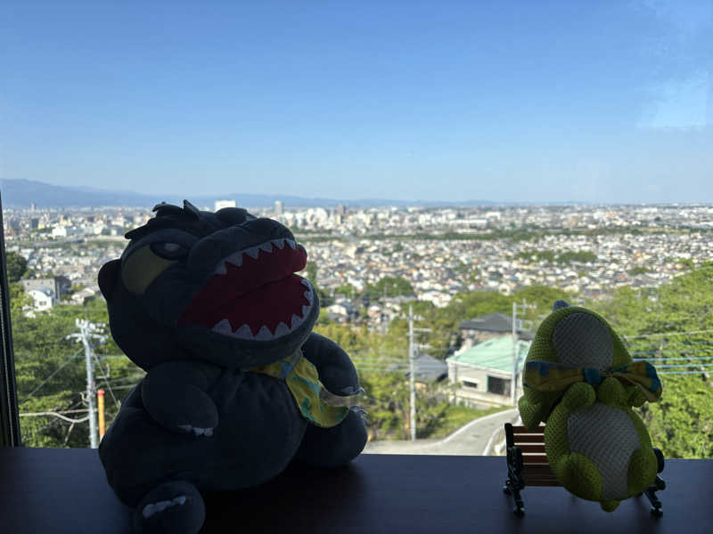 富士山さんの観音山サウナ蒸寺のサ活写真