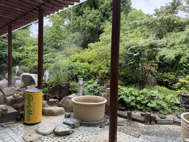 BESTYさんの豊島園 庭の湯のサ活写真