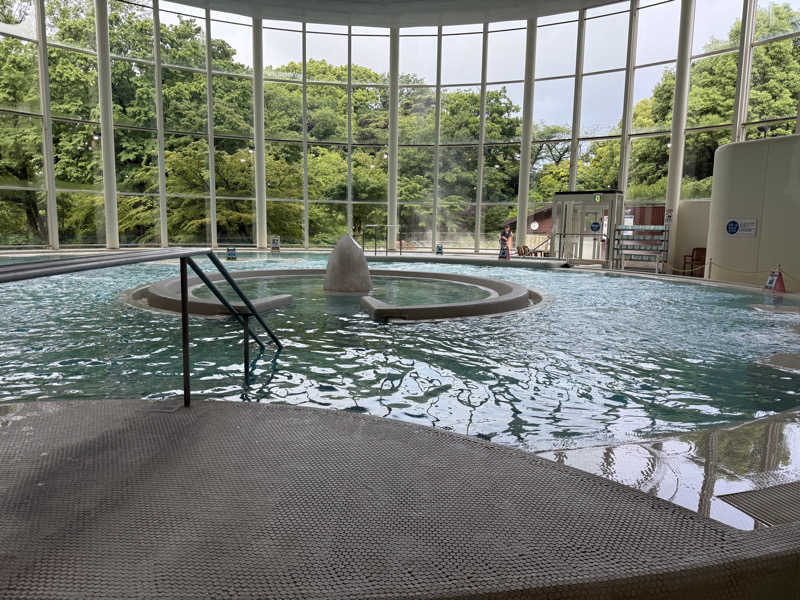 BESTYさんの豊島園 庭の湯のサ活写真