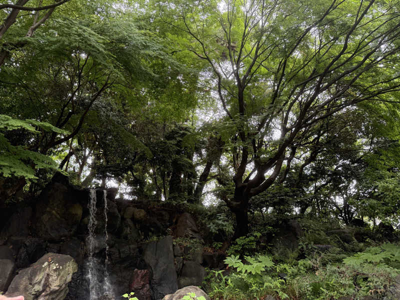 BESTYさんの豊島園 庭の湯のサ活写真