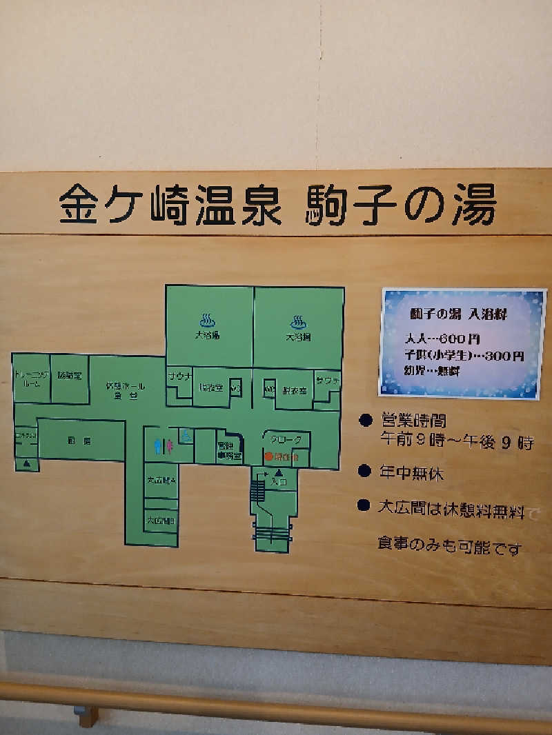 まーくんさんの金ケ崎温泉駒子の湯のサ活写真
