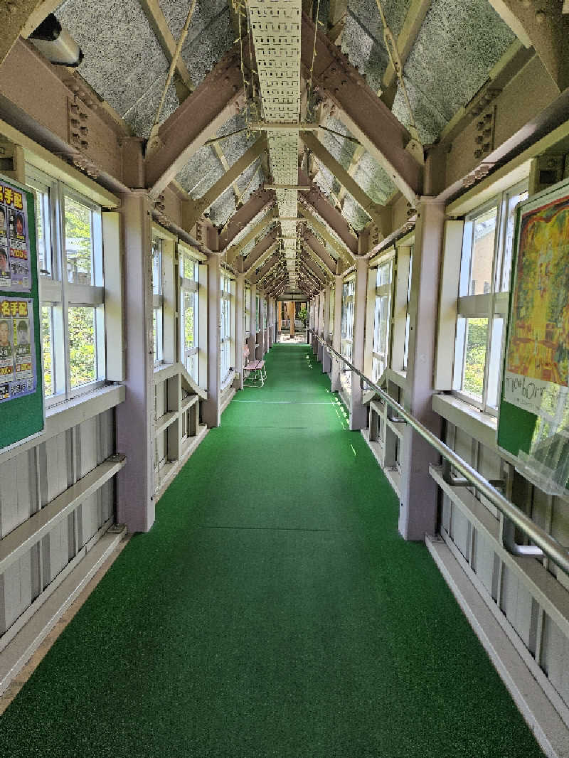 しゃおのサウナ日記さんのごまどう 湯っ多里館のサ活写真