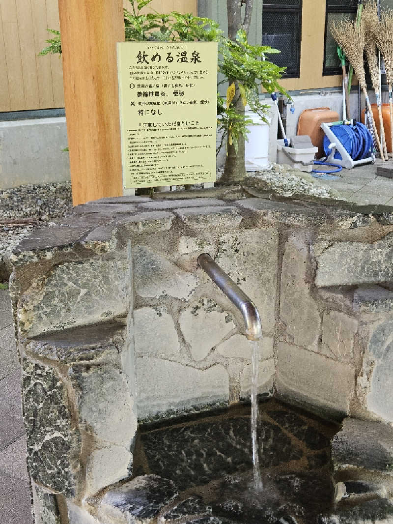 しゃおのサウナ日記さんのごまどう 湯っ多里館のサ活写真