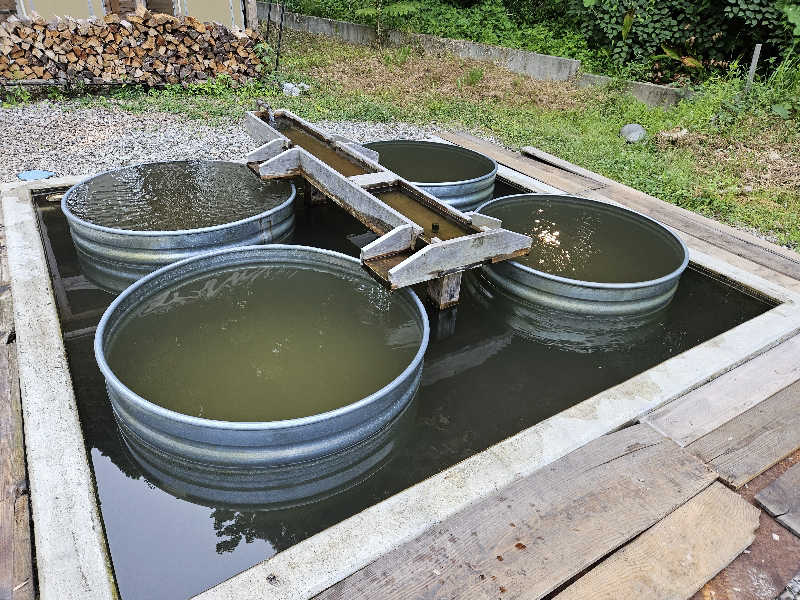 しゃおのサウナ日記さんのOJIYA SAUNA DENのサ活写真