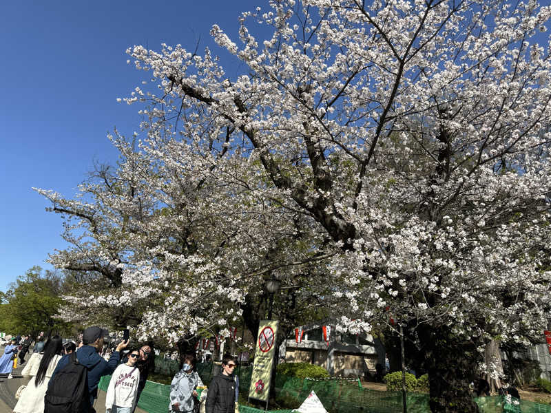 サウナ好きな優しい柴犬コロちゃん。さんのサウナセンター鶯谷本店のサ活写真
