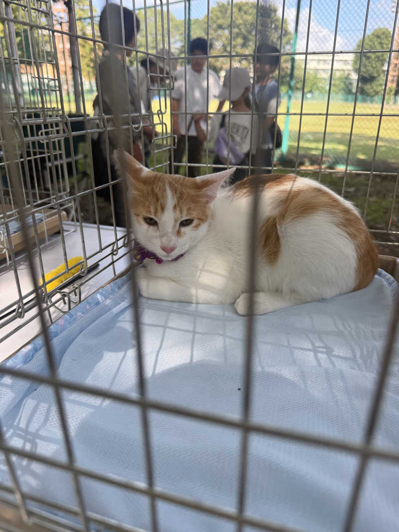国分寺　太郎さんの富士見湯健康セントーのサ活写真