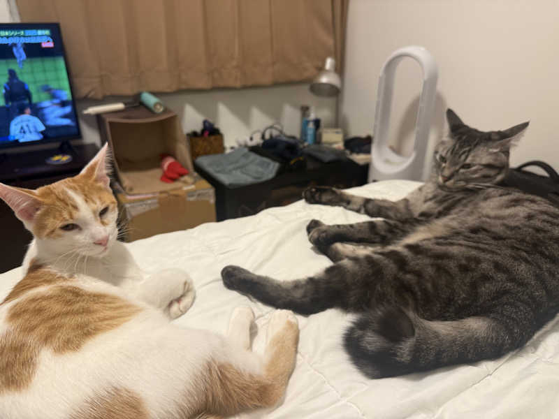 国分寺　太郎さんのおふろの王様 花小金井店のサ活写真