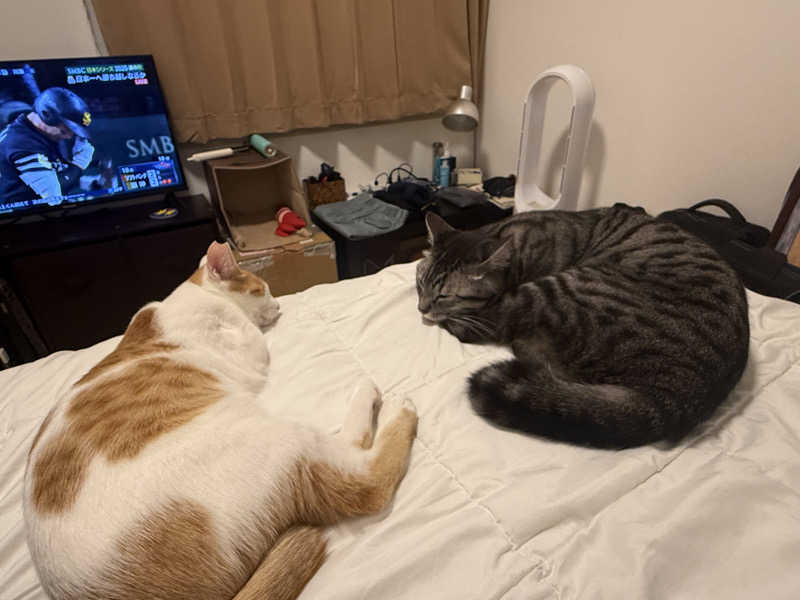 国分寺　太郎さんのおふろの王様 花小金井店のサ活写真