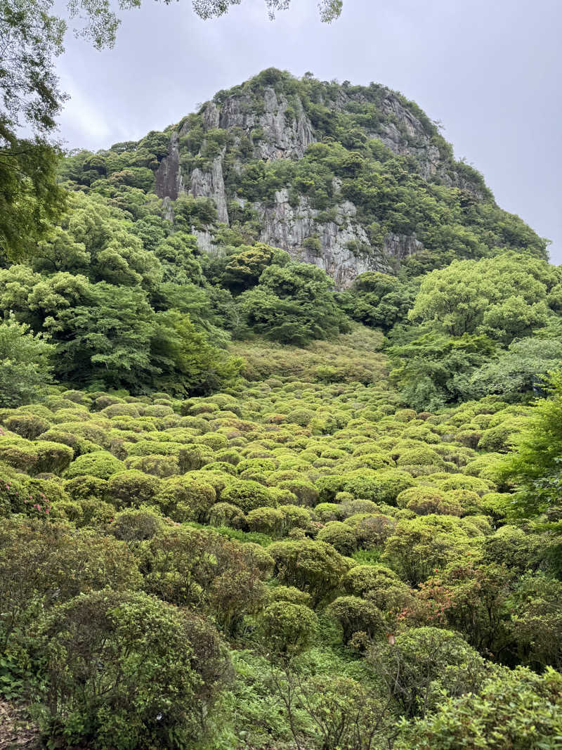 サウニャン　もーやんさんの御船山楽園ホテル  らかんの湯のサ活写真