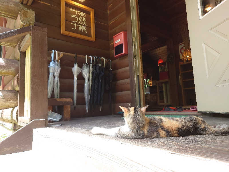 マイスターさんの亜熱帯サウナのサ活写真