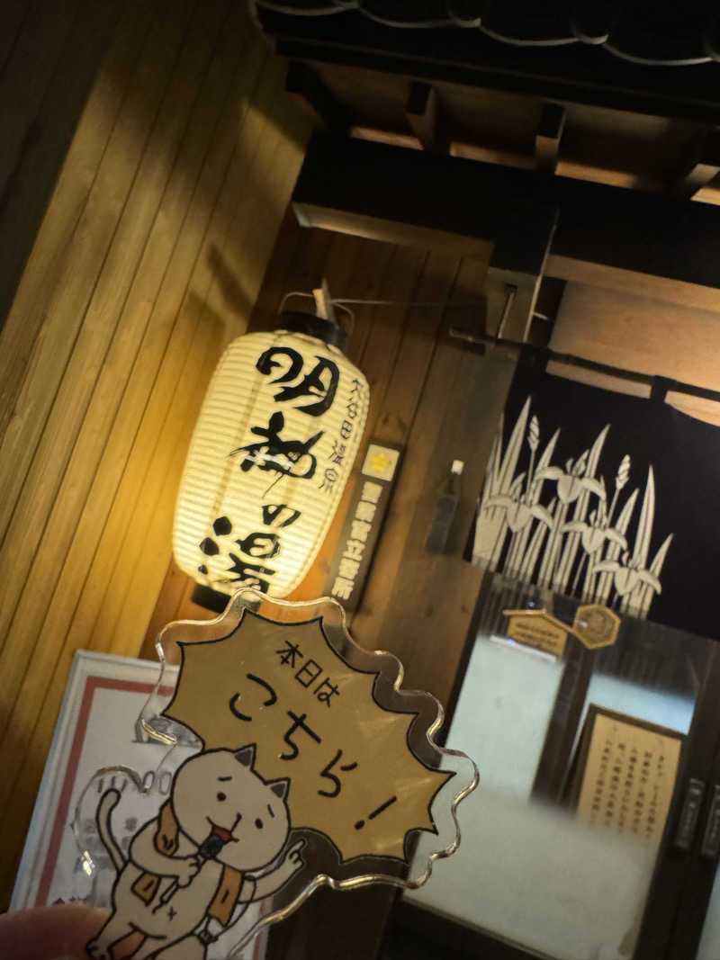 うっちーさんの大谷田温泉 明神の湯のサ活写真