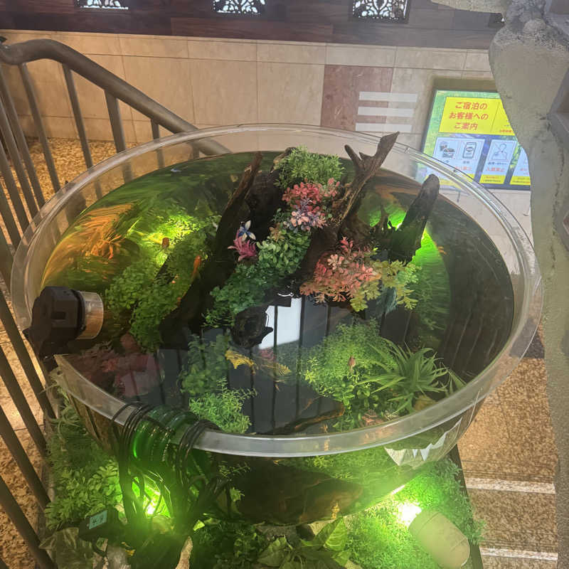 ジョンマンさんのウェルビー福岡のサ活写真