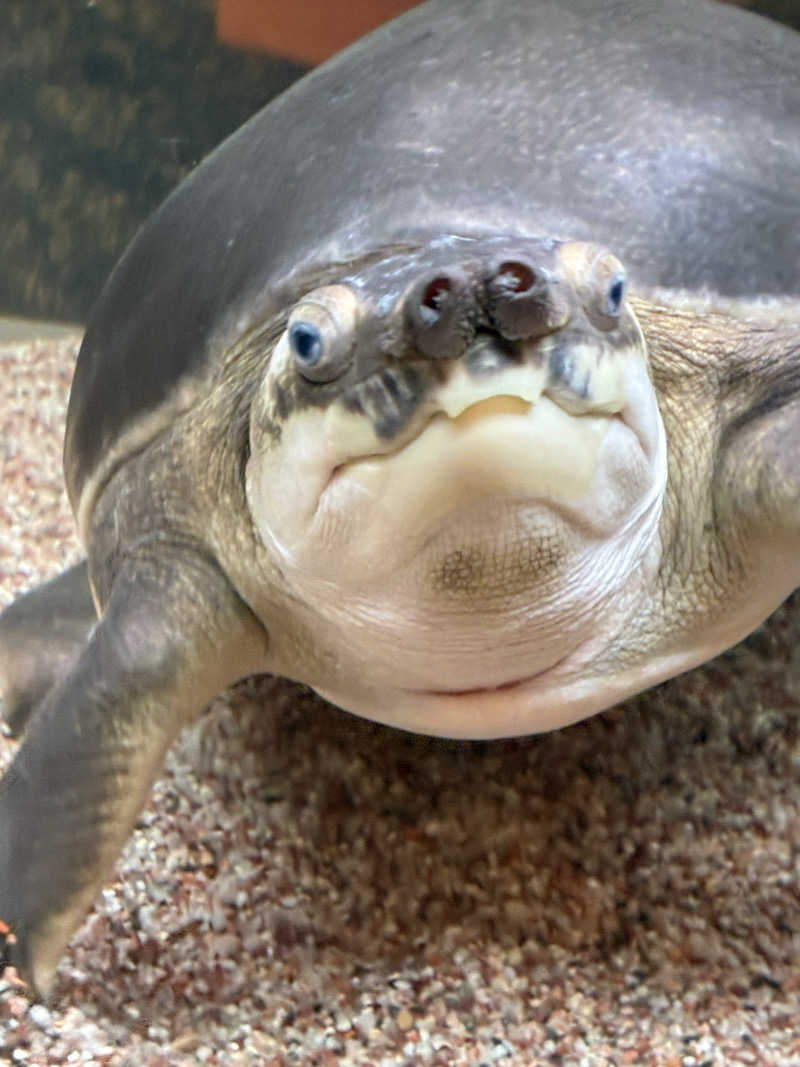 サークル主さんの松本湯のサ活写真