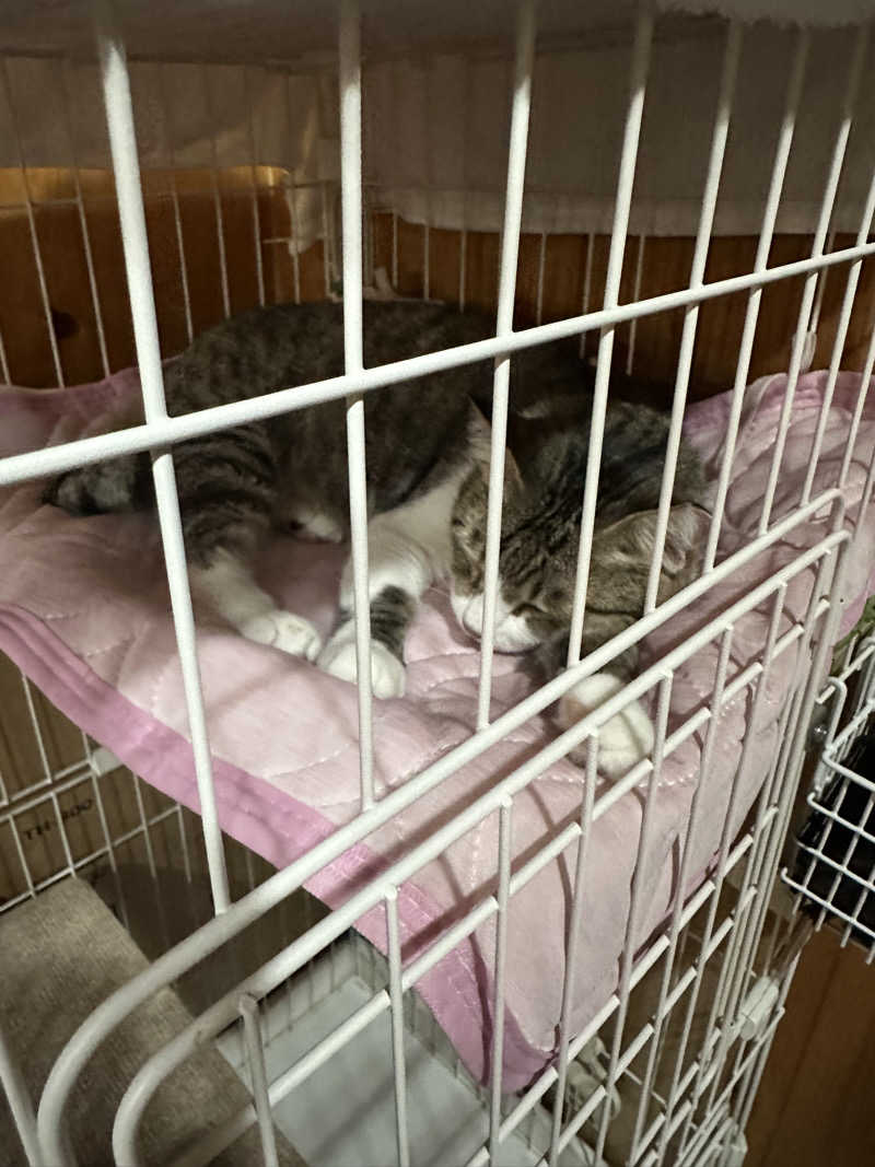 KONさんのヌルヌル有田温泉のサ活写真