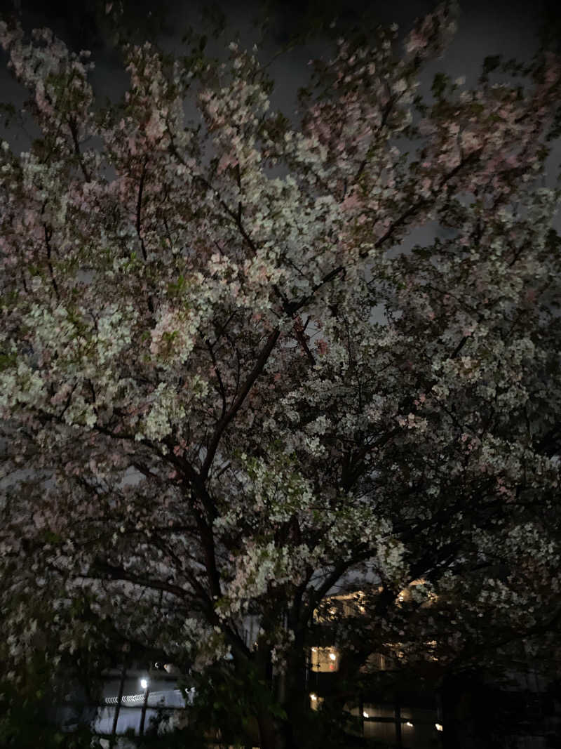 社畜２号さんの小倉湯のサ活写真