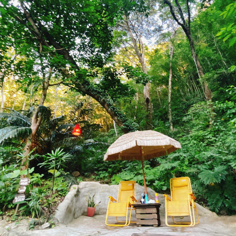 サウちゃんさんの亜熱帯サウナのサ活写真