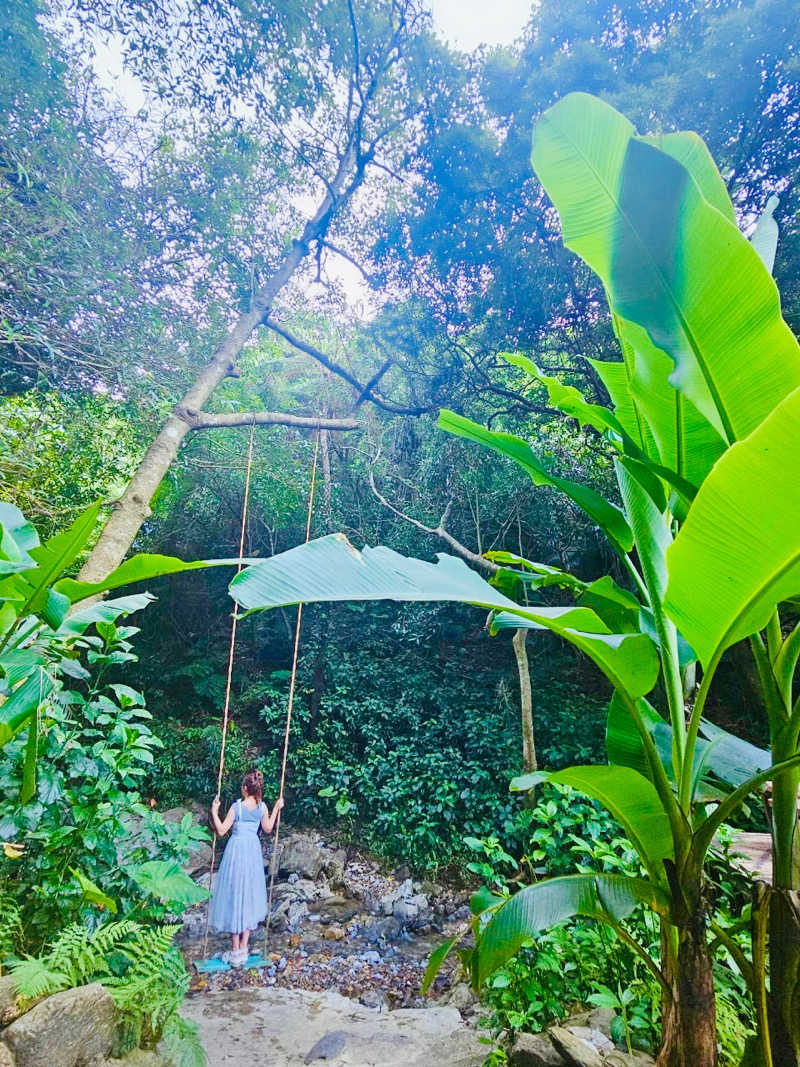 サウちゃんさんの亜熱帯サウナのサ活写真