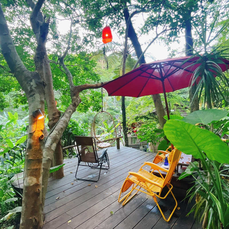 サウちゃんさんの亜熱帯サウナのサ活写真