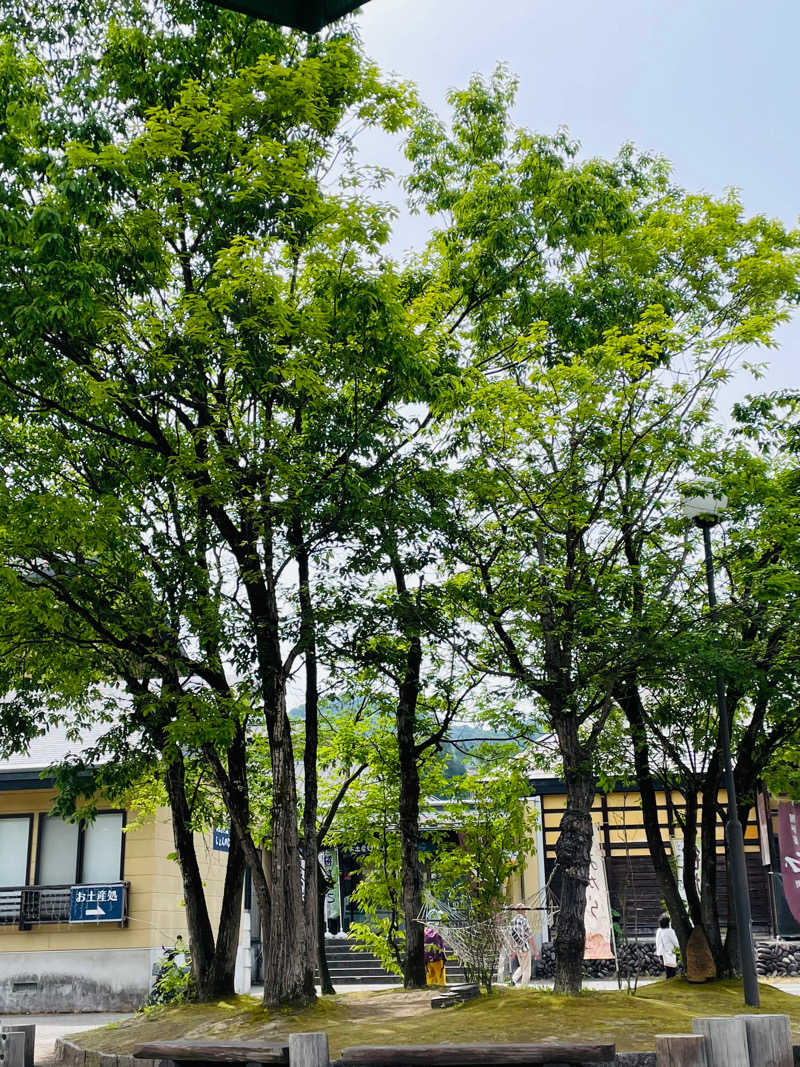 ばこちさんのじょんのび温泉 楽寿の湯 (高柳じょんのび村)のサ活写真